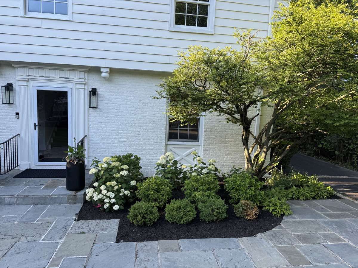 The same Highland Park bed after renovation