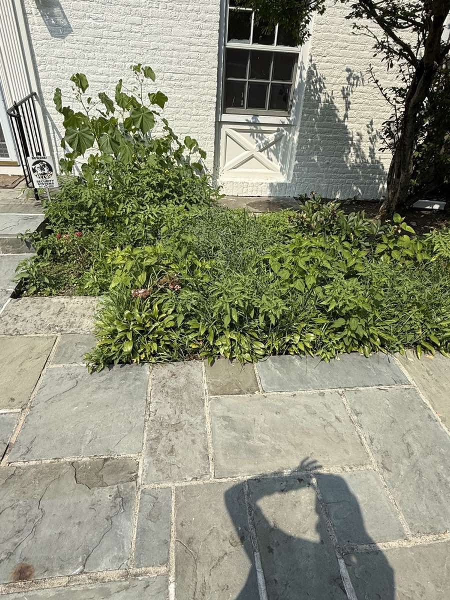 Highland Park entry bed before ZAVTEK renovation