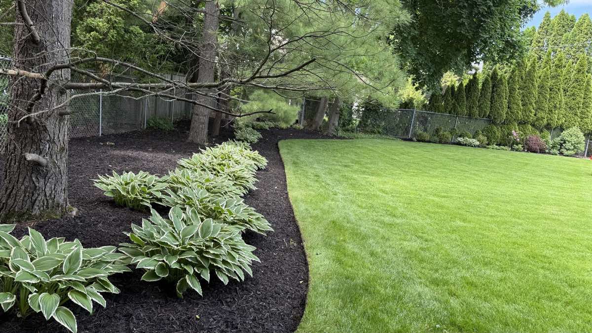 Garden enhancement with premium plantings
