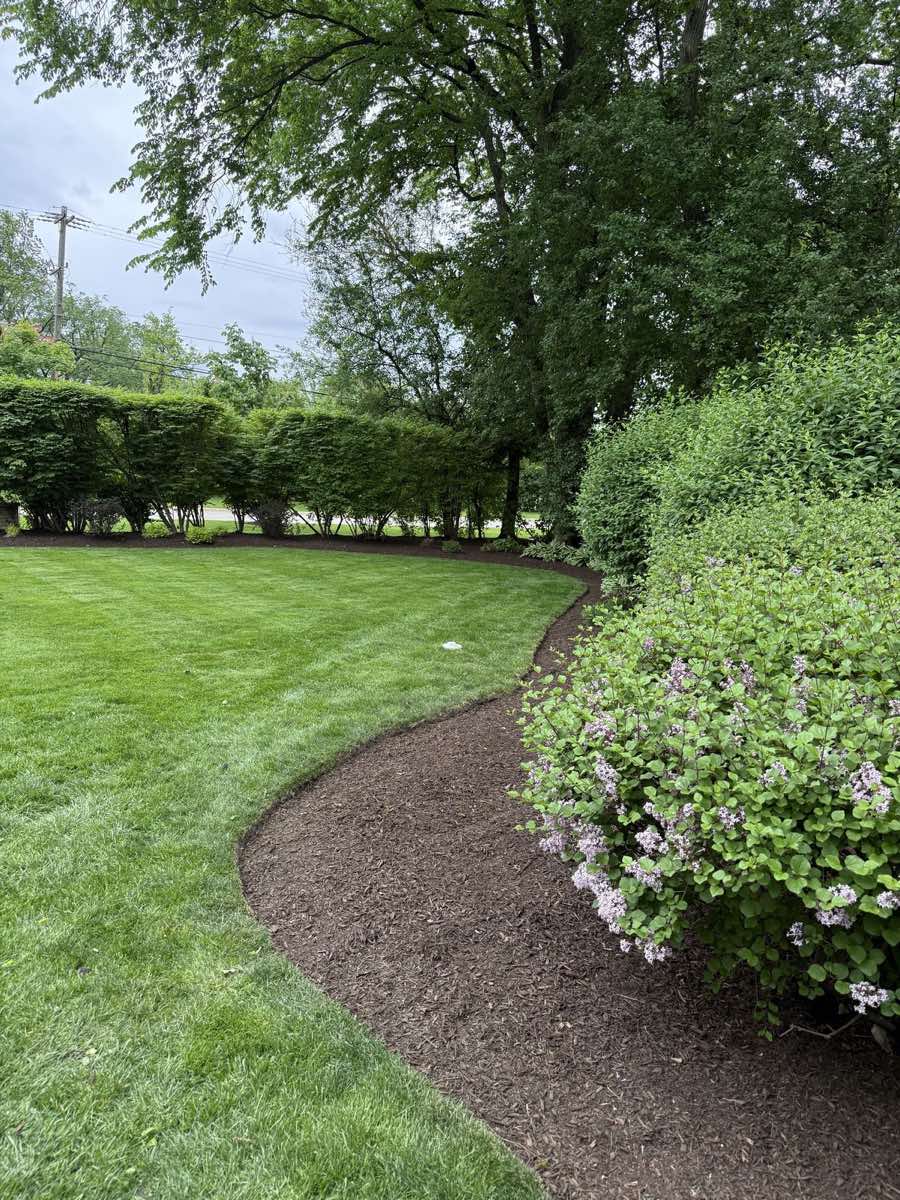 Curved hand-cut bed line along a hedge