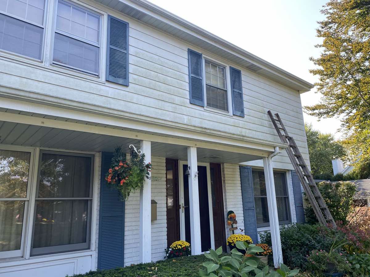 Before — algae staining on upper siding