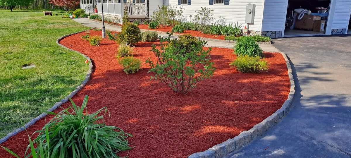 Finished bed with red mulch, trimmed shrubs and cobblestone edge