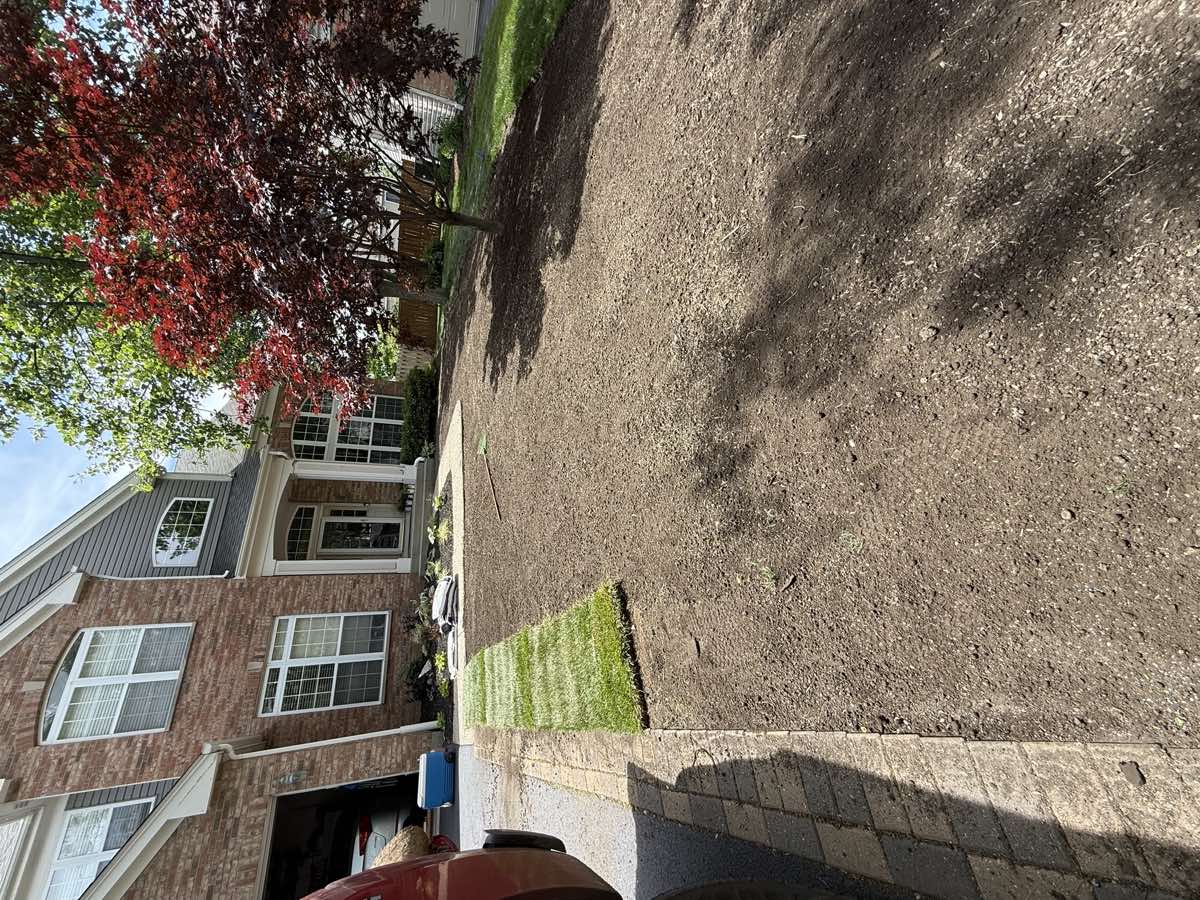 Front yard graded to bare soil with first rows of fresh sod being laid