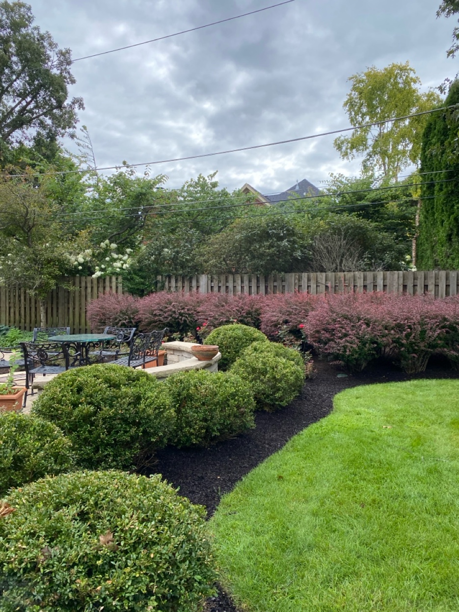 Boxwood trimming and mulch bed maintenance — ZAVTEK Landscape