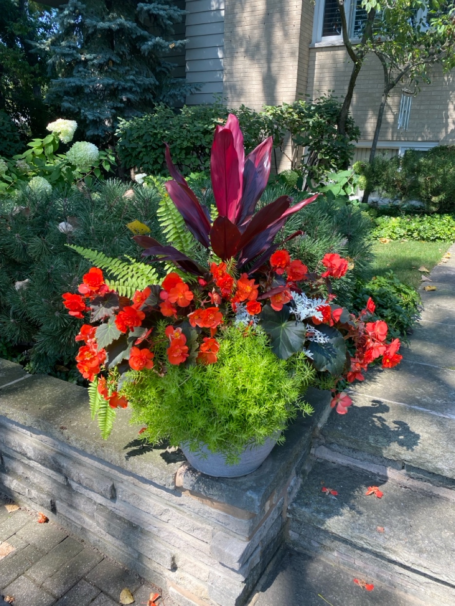 Container garden design planting — ZAVTEK Landscape