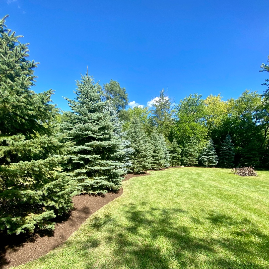 Estate property lawn care North Shore Illinois — ZAVTEK Landscape